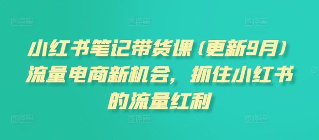 小红书笔记带货课(更新9月)流量电商新机会，抓住小红书的流量红利萌宝之家-游戏资源站丨手游源码丨页游源码丨端游源码丨架设视频教程丨网赚项目丨萌宝之家