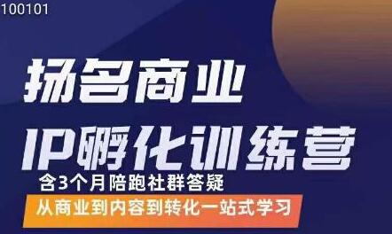 王扬名·商业IP孵化训练营，从商业到内容到转化一站式学习萌宝之家-游戏资源站丨手游源码丨页游源码丨端游源码丨架设视频教程丨网赚项目丨萌宝之家