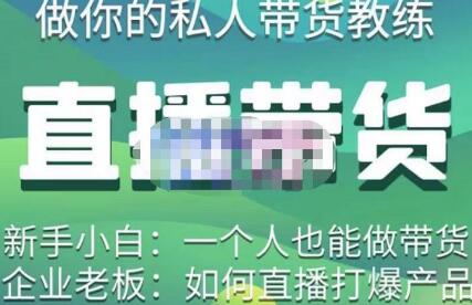 硬核传媒·直播带货（私人教练），实操实战教学，通俗易懂，学完后新手小白一个人也能做带货萌宝之家-游戏资源站丨手游源码丨页游源码丨端游源码丨架设视频教程丨网赚项目丨萌宝之家