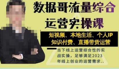 数据哥流量综合运营实操课：短视频、本地生活、个人IP知识付费、直播带货运营萌宝之家-游戏资源站丨手游源码丨页游源码丨端游源码丨架设视频教程丨网赚项目丨萌宝之家