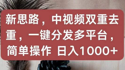 新思路，中视频双重去重，一键分发多平台，简单操作，日入1000+萌宝之家-游戏资源站丨手游源码丨页游源码丨端游源码丨架设视频教程丨网赚项目丨萌宝之家