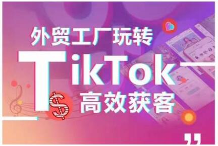 外贸工厂玩转TikTok高效获客，多种引流方式与账号定位技巧，拆解爆款短视频打造成功案例萌宝之家-游戏资源站丨手游源码丨页游源码丨端游源码丨架设视频教程丨网赚项目丨萌宝之家