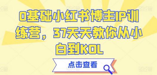 0基础小红书博主IP训练营，37天天教你从小白到KOL萌宝之家-游戏资源站丨手游源码丨页游源码丨端游源码丨架设视频教程丨网赚项目丨萌宝之家