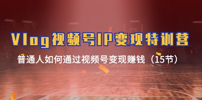 Vlog视频号IP变现特训营，普通人如何通过视频号变现赚钱（15节）萌宝之家-游戏资源站丨手游源码丨页游源码丨端游源码丨架设视频教程丨网赚项目丨萌宝之家