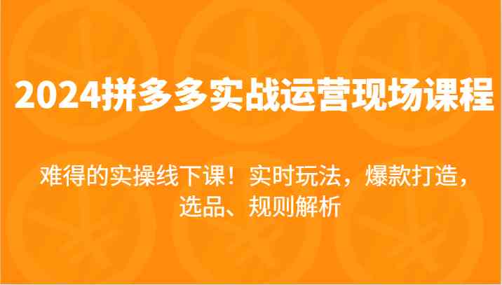 2024拼多多实战运营现场课，实时玩法，爆款打造，选品、规则解析，难得的实操线下课！萌宝之家-游戏资源站丨手游源码丨页游源码丨端游源码丨架设视频教程丨网赚项目丨萌宝之家