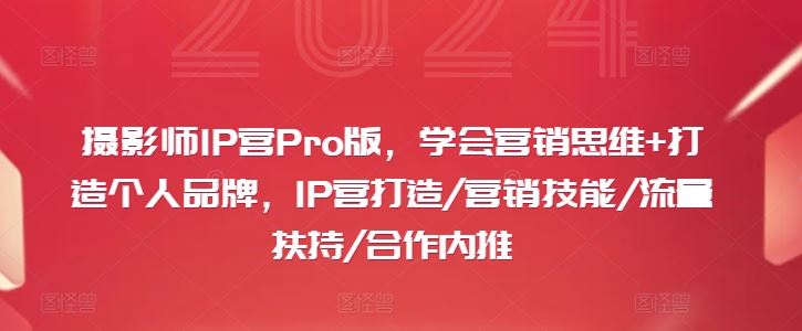 摄影师IP营Pro版，学会营销思维+打造个人品牌，IP营打造/营销技能/流量扶持/合作内推萌宝之家-游戏资源站丨手游源码丨页游源码丨端游源码丨架设视频教程丨网赚项目丨萌宝之家