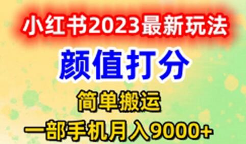 最新小红书颜值打分玩法，日入300+闭环玩法萌宝之家-游戏资源站丨手游源码丨页游源码丨端游源码丨架设视频教程丨网赚项目丨萌宝之家
