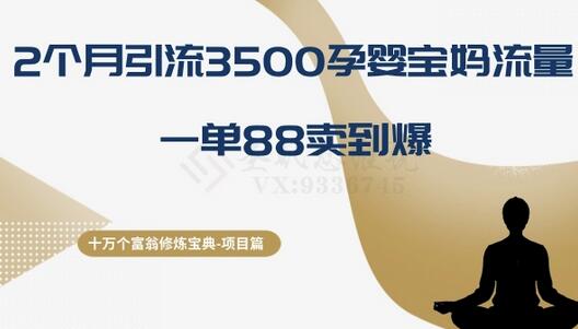 十万个富翁修炼宝典之13.2个月引流3500孕婴宝妈流量，一单88卖到爆萌宝之家-游戏资源站丨手游源码丨页游源码丨端游源码丨架设视频教程丨网赚项目丨萌宝之家