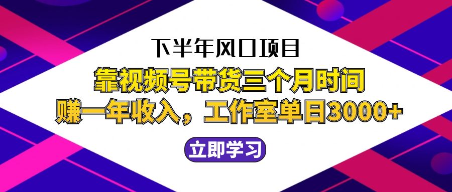 （12849期）下半年风口项目，靠视频号带货三个月时间赚一年收入，工作室实测单日3…萌宝之家-游戏资源站丨手游源码丨页游源码丨端游源码丨架设视频教程丨网赚项目丨萌宝之家