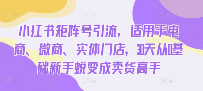 小红书矩阵号引流，适用于电商、微商、实体门店，30天从0基础新手蜕变成卖货高手萌宝之家-游戏资源站丨手游源码丨页游源码丨端游源码丨架设视频教程丨网赚项目丨萌宝之家