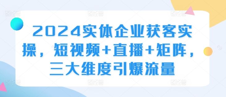 2024实体企业获客实操，短视频+直播+矩阵，三大维度引爆流量萌宝之家-游戏资源站丨手游源码丨页游源码丨端游源码丨架设视频教程丨网赚项目丨萌宝之家