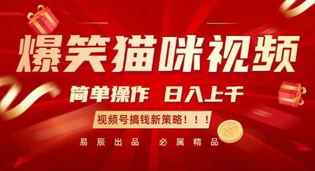 爆笑猫咪视频：简单操作，日入过K，视频号搞钱新策略【揭秘】萌宝之家-游戏资源站丨手游源码丨页游源码丨端游源码丨架设视频教程丨网赚项目丨萌宝之家