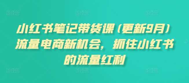 小红书笔记带货课(更新12月)流量电商新机会，抓住小红书的流量红利萌宝之家-游戏资源站丨手游源码丨页游源码丨端游源码丨架设视频教程丨网赚项目丨萌宝之家