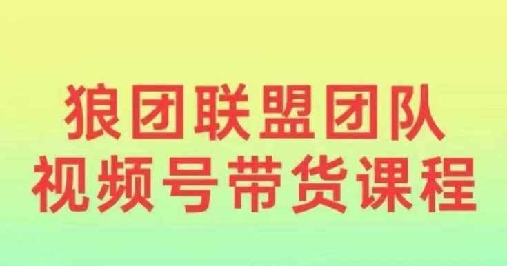 狼团联盟2024视频号带货，0基础小白快速入局视频号萌宝之家-游戏资源站丨手游源码丨页游源码丨端游源码丨架设视频教程丨网赚项目丨萌宝之家