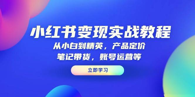 小红书变现实战教程：从小白到精英，产品定价，笔记带货，账号运营等萌宝之家-游戏资源站丨手游源码丨页游源码丨端游源码丨架设视频教程丨网赚项目丨萌宝之家