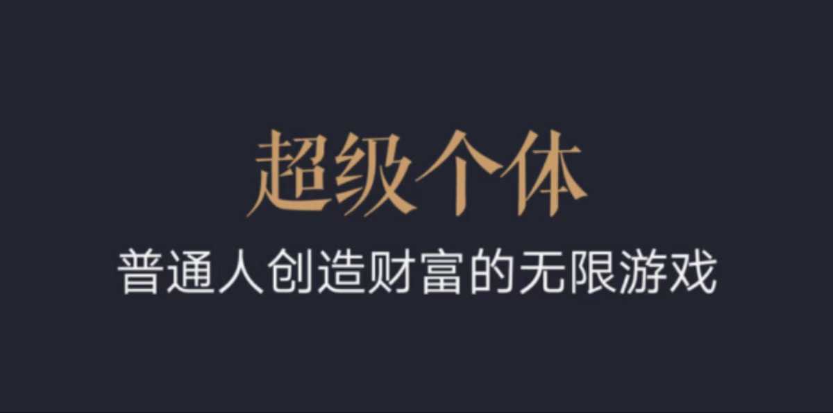 超级个体：2024-2025翻盘指南，普通人创造财富的无限游戏萌宝之家-游戏资源站丨手游源码丨页游源码丨端游源码丨架设视频教程丨网赚项目丨萌宝之家