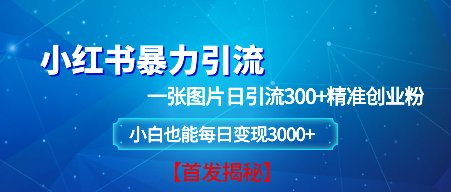 （13935期）小红书暴力引流法，一张图片日引 300+精准创业粉，每日稳定变现 3000+【揭秘】萌宝之家-游戏资源站丨手游源码丨页游源码丨端游源码丨架设视频教程丨网赚项目丨萌宝之家