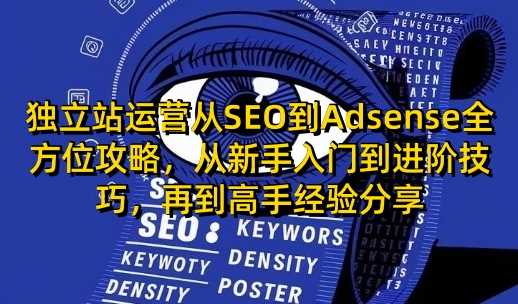 独立站运营从SEO到Adsense全方位攻略，从新手入门到进阶技巧，再到高手经验分享萌宝之家-游戏资源站丨手游源码丨页游源码丨端游源码丨架设视频教程丨网赚项目丨萌宝之家