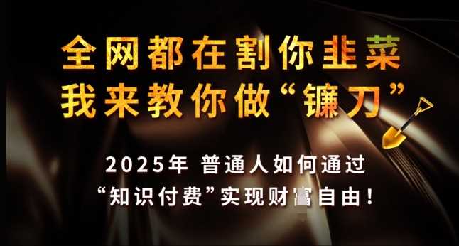 全网都在割你韭菜，我来教你做镰刀，2025年普通人如何通过 知识付费 实现财F自由【揭秘】萌宝之家-游戏资源站丨手游源码丨页游源码丨端游源码丨架设视频教程丨网赚项目丨萌宝之家