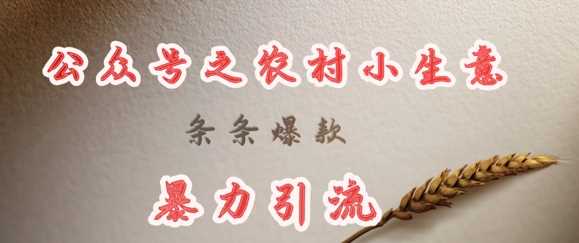 deepseek写农村小项目，条条爆款，暴力引流萌宝之家-游戏资源站丨手游源码丨页游源码丨端游源码丨架设视频教程丨网赚项目丨萌宝之家